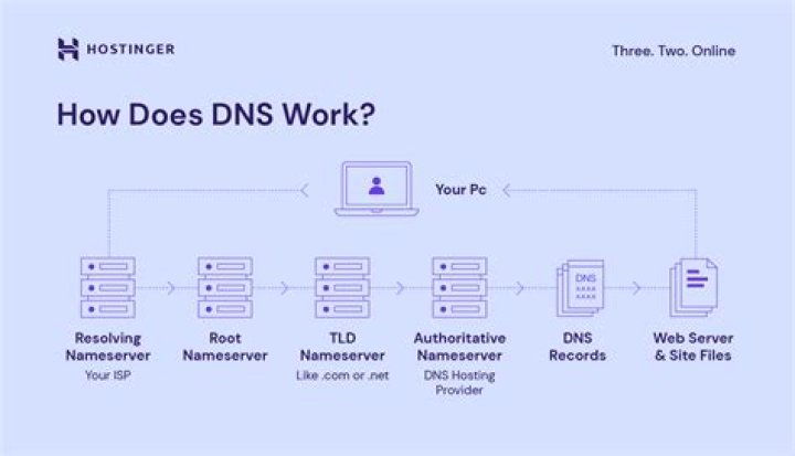 How does DNS stop a reaction
