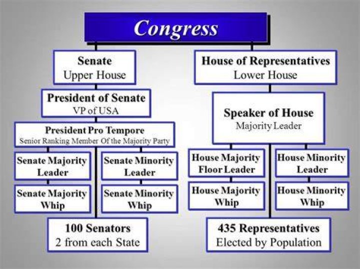 How does Model Congress work