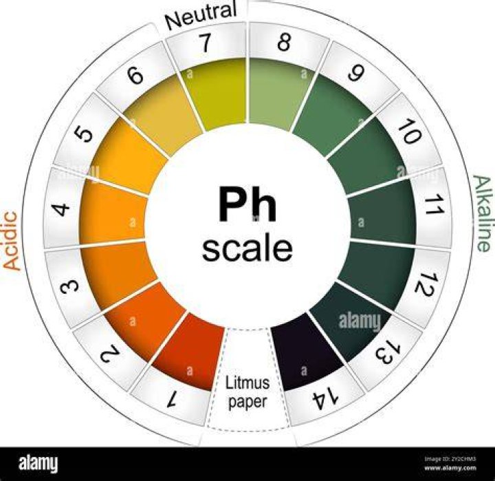 How does pH test paper work