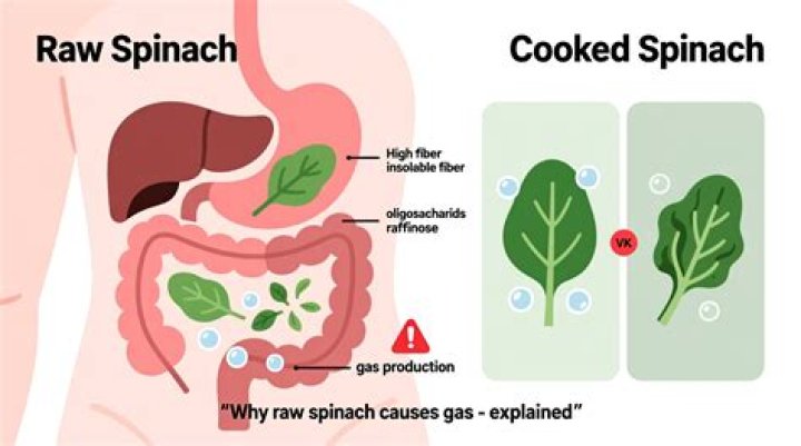 How does spinach prevent gas