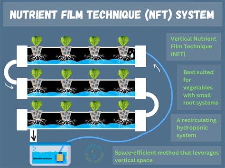 How does the NFT system work