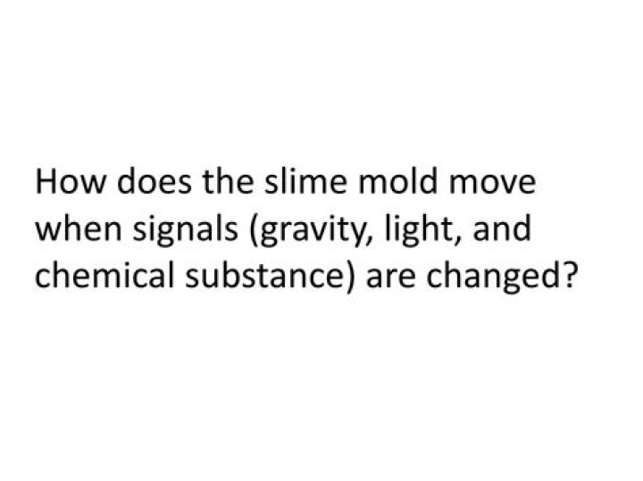 How does the slime mold move