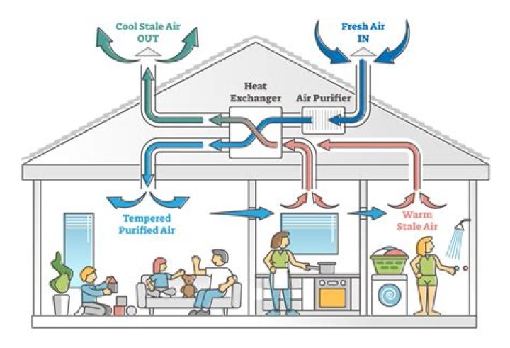 How does ventilation affect gas exchange