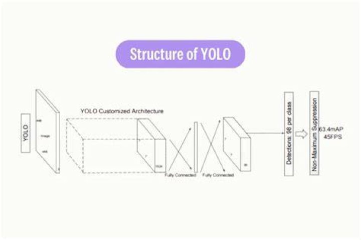How does Yolo training work