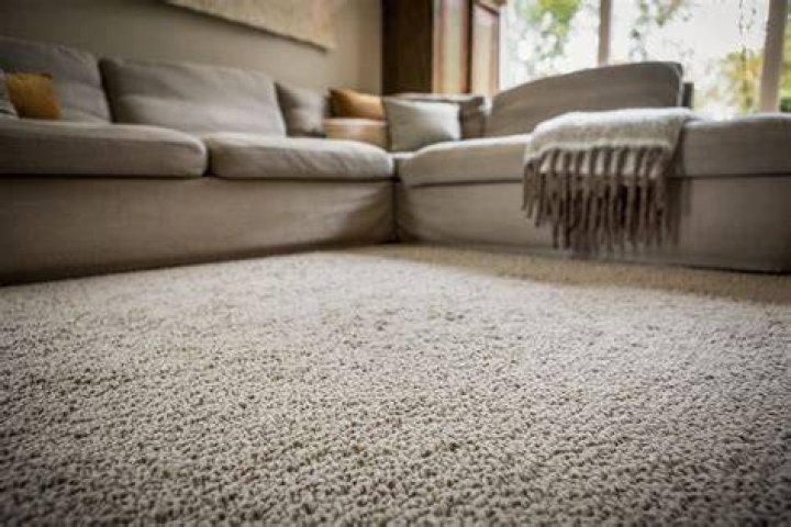 How expensive is wool carpet