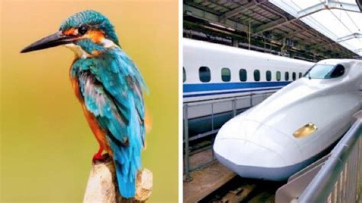 How has biomimicry been used
