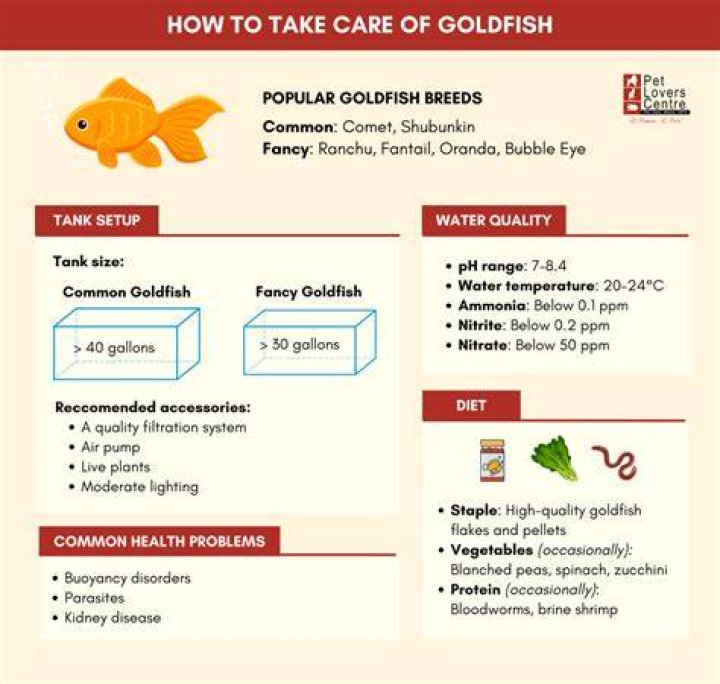 How heavy can a goldfish get