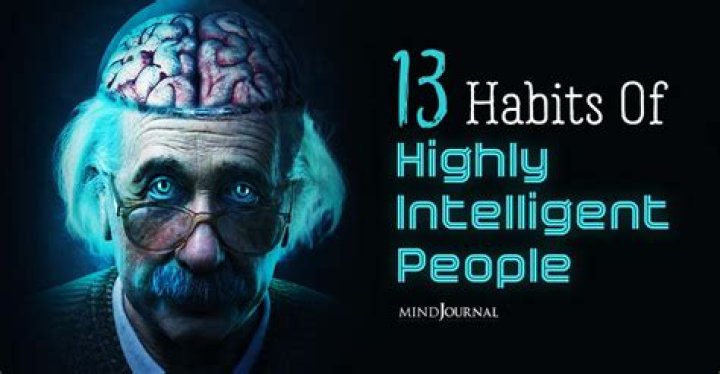 How intelligent are Chorkies