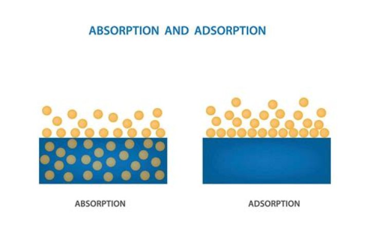 How is absorption calculated