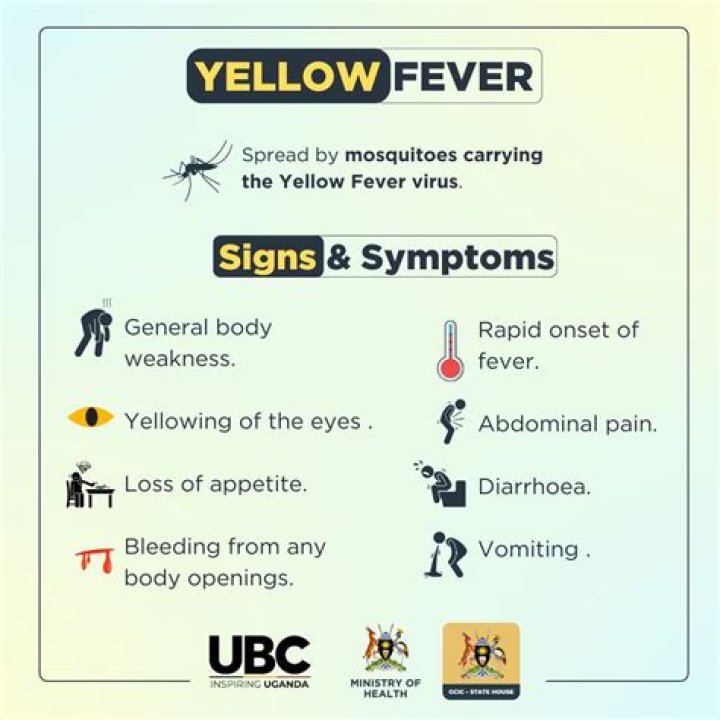 How is yellow fever defined
