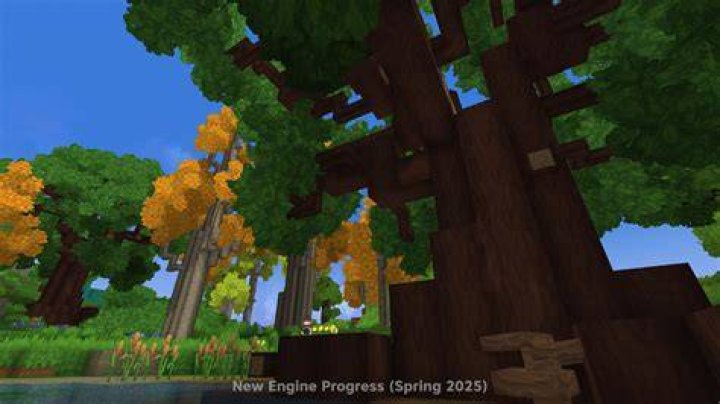 How long do beech trees last