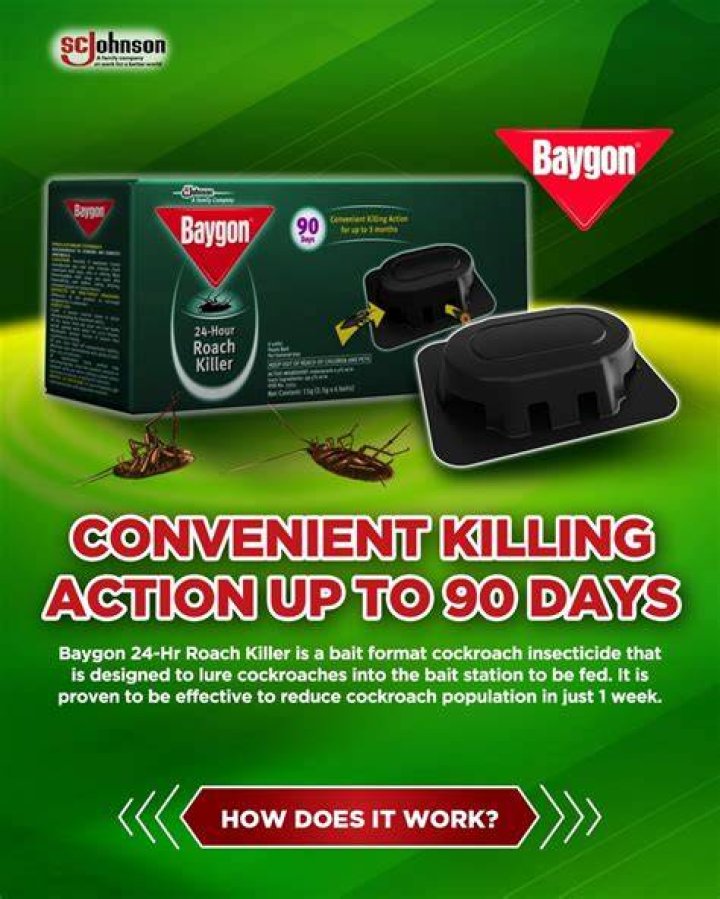 How long is Baygon effective