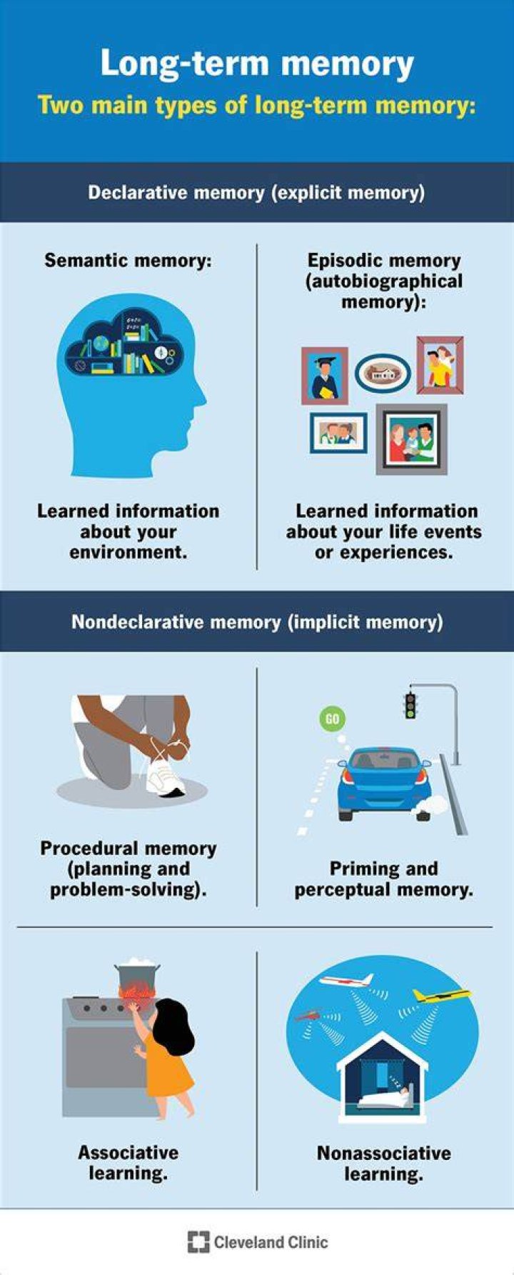How long is long term memory