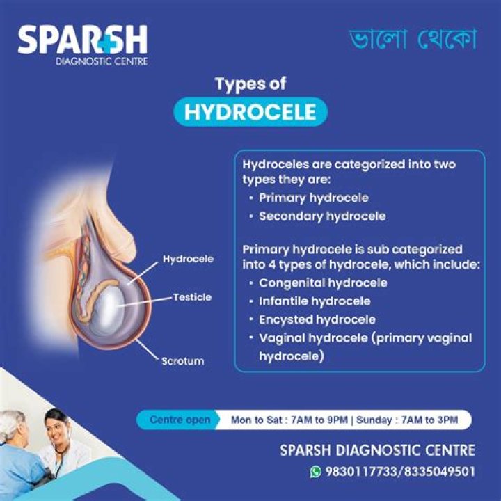 How many hydrocele are there