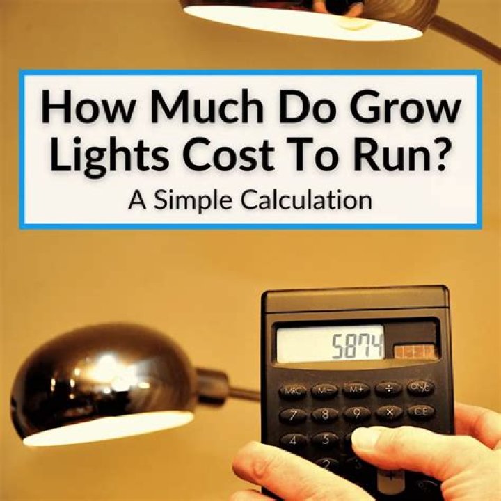 How much do can lights cost