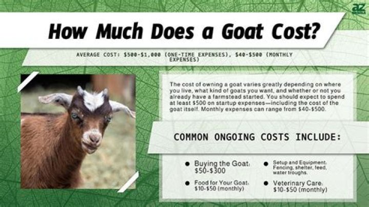 How much do Kiko goats cost