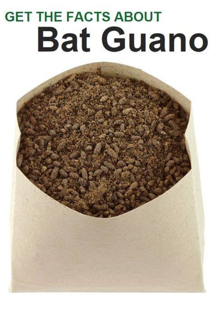 How much does bat guano cost