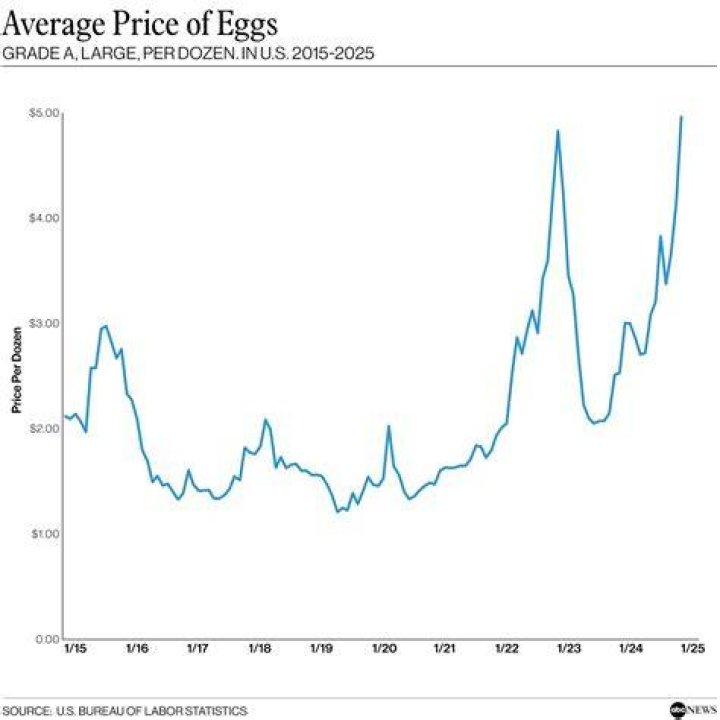 How much does egg rolls cost