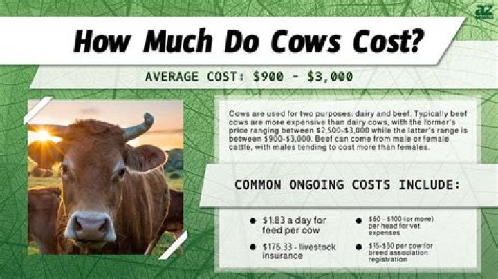 How much does it cost to buy compost