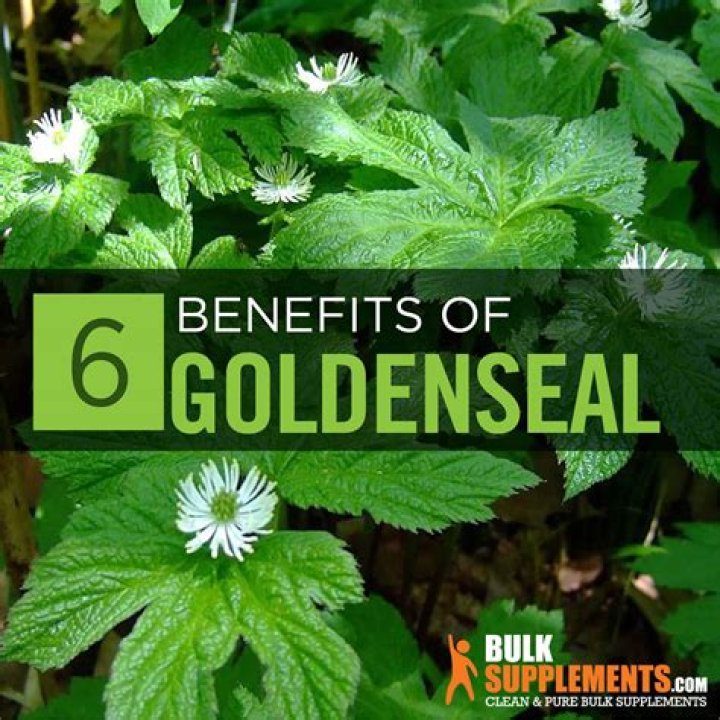 How much goldenseal should I take