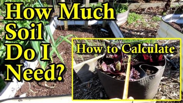 How much soil does a hedge need