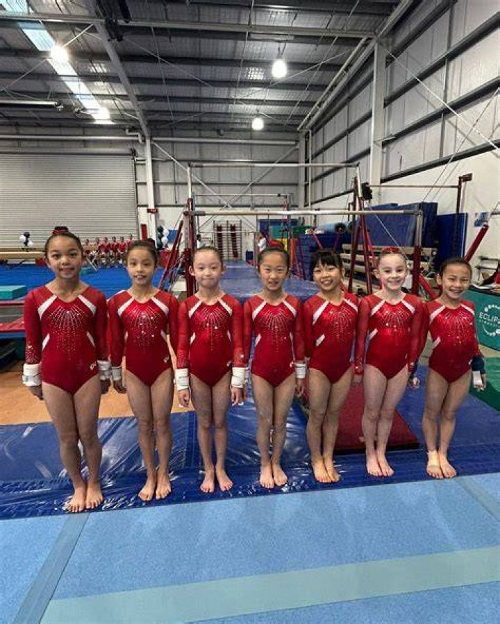 How old are Level 4 gymnasts