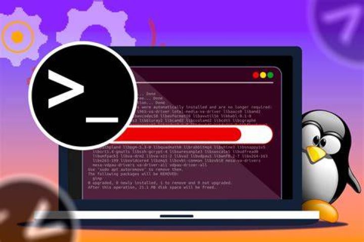 How uninstall NetBeans Linux