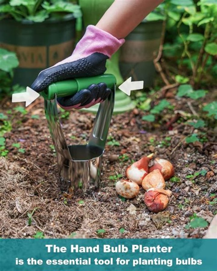 Is a bulb planter necessary