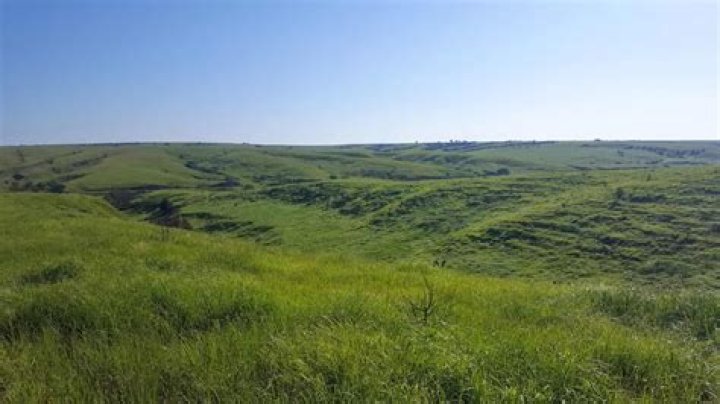 Is Alberta in the grasslands
