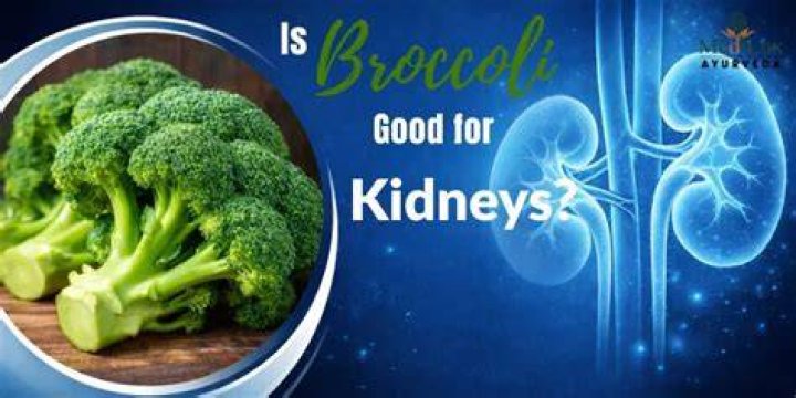 Is broccoli good for kidneys