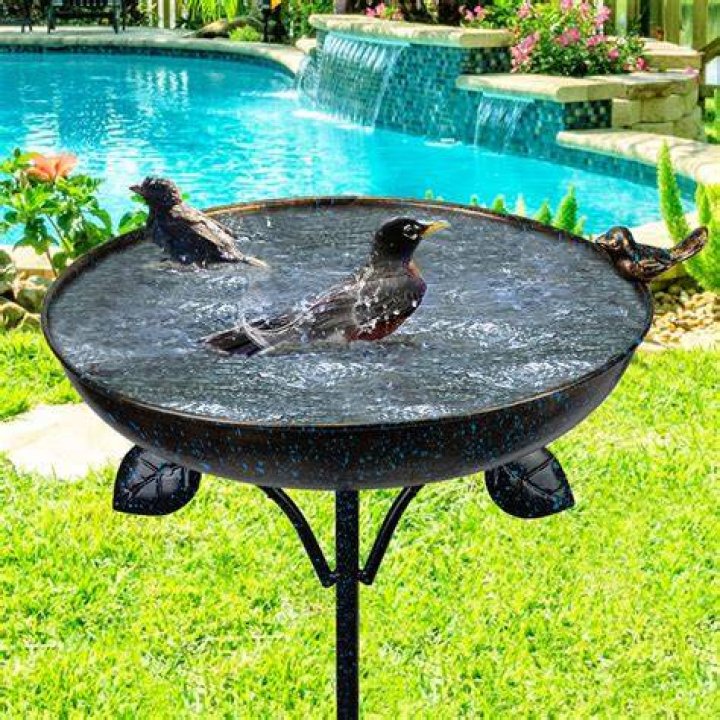 Is copper safe for bird bath