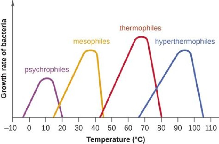 Is E coli a Hyperthermophile