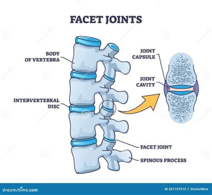 Is facet the same as process