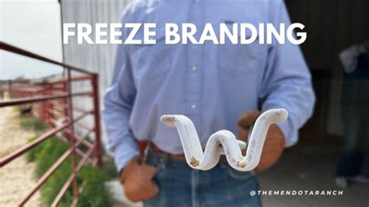 Is freeze branding permanent