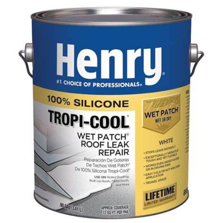 Is Henry wet patch paintable