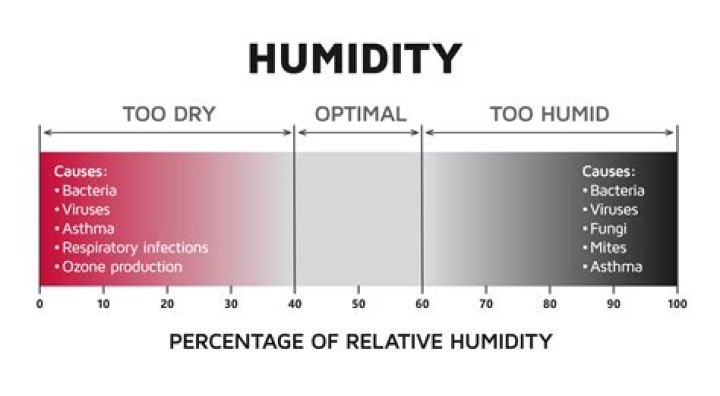 Is humidity bad for carpets