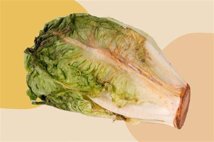 Is lettuce rust safe to eat