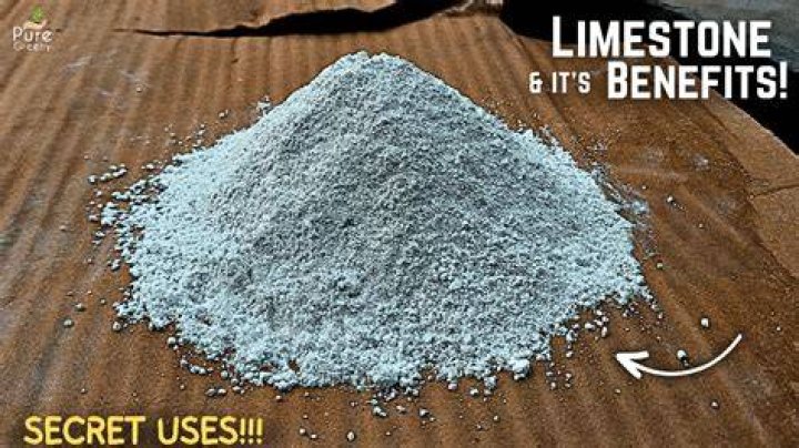 Is Limestone good for plants