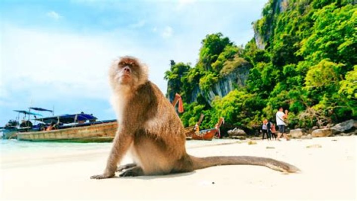 Is Monkey Beach a real place