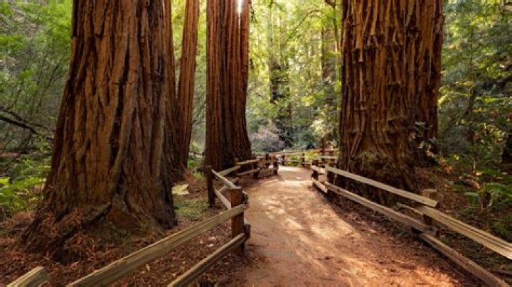 Is Muir Beach worth visiting