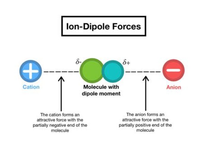 Is NaCl a ion-dipole forces