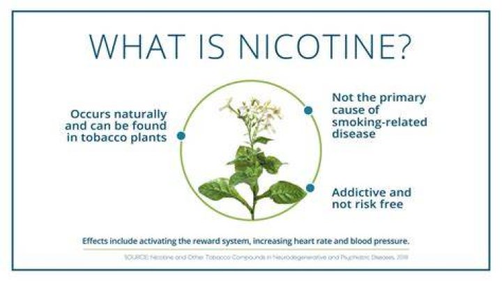 Is nicotine good for plants