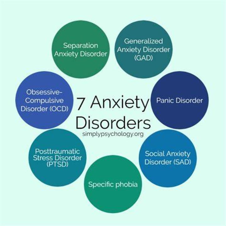 Is panic disorder biological