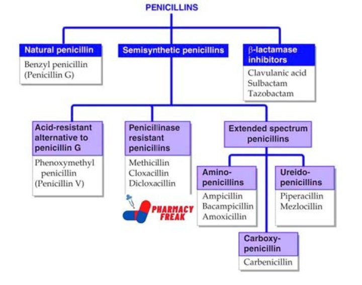 Is PCN short for penicillin