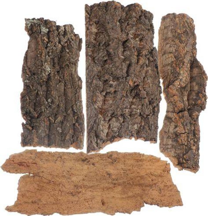 Is pine bark bad for snakes