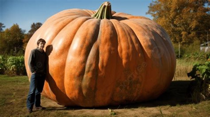 Is pumpkin the largest fruit