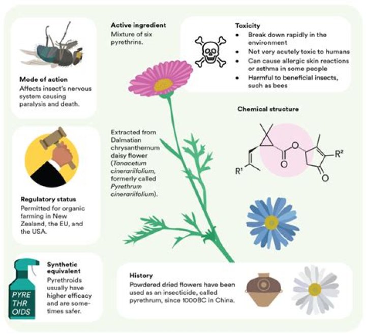 Is pyrethrin toxic to humans