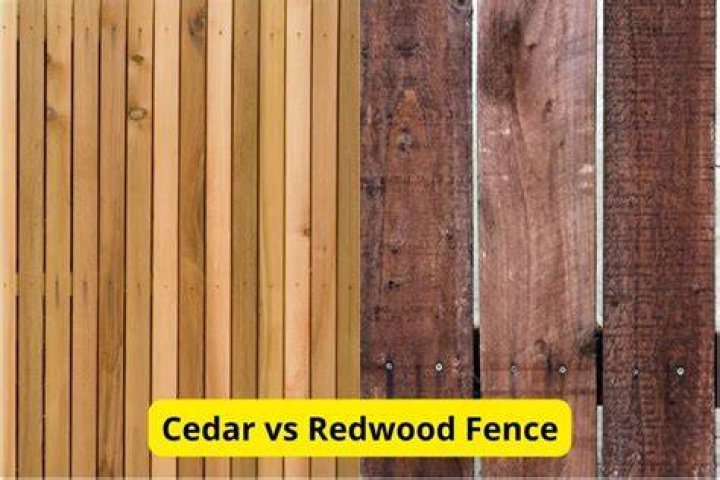 Is Redwood better than cedar