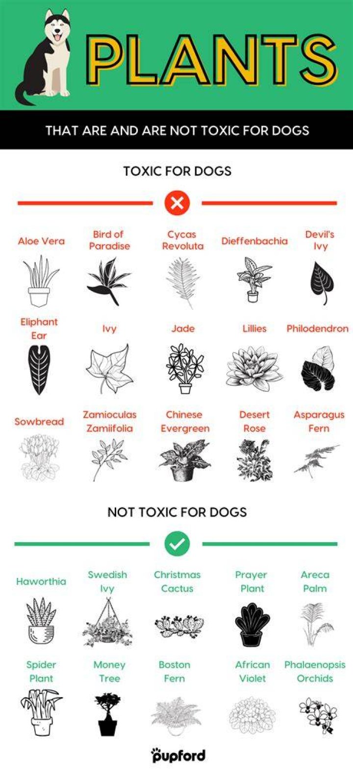 Is rubber tree toxic to pets