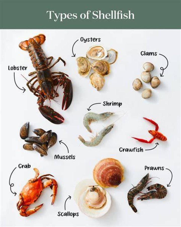 Is shellfish a lean protein